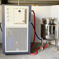 Équipement de refroidissement par recirculation DLSB-200/40 10 ch DLSB-300/40 13 ch Réservoir 100L Refroidisseur à éthanol -40
