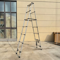 Échelle télescopique en fer multi-couches antidérapante double face pour dropshipping, capacité 150 kg, conforme EN131, antirouille, pour salle de sport