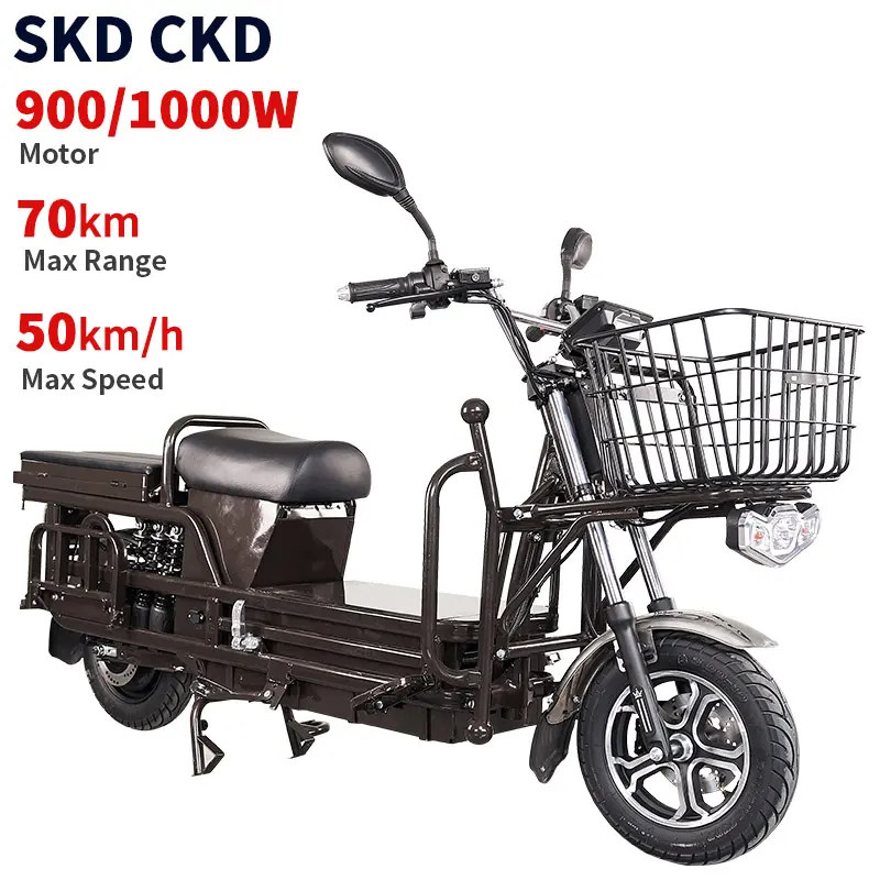 CKD SKD 10inch 900W/1000W 50km/h max speed 70km max range hot sale electric cargo bike