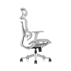 Silla Ergonómica de Oficina Ajustable con Asiento de Malla Plástica de Diseño Moderno, Base de Aleación de <span class=keywords><strong>Aluminio</strong></span> y Reposapiés, Garantía de 5 Años - Product Image 1