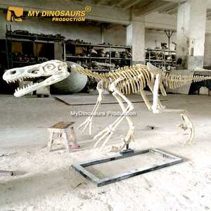 MY <span class=keywords><strong>DINO</strong></span>-esqueleto Raptor Artificial DS031, tamaño Real, para museo - Product Image 5