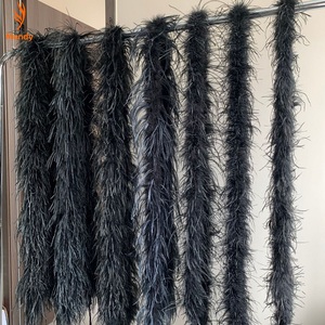 Boa en plumes d'autruche colorées, 2 verges, 1 à 5 plis, lot en vrac pour vêtements DIY et présentoirs de vitrine de fêtes - Product Image 1