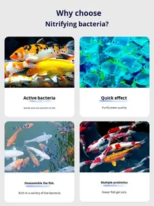 NETLEA Nitrificerende Bacteriën Capsules, Aquarium Visbak Waterreiniger, Verwijdert Ammoniak Nitriet Nitraat, Waterstabilisator - Product Image 4