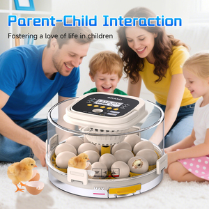 Price Low Price Dual Power Automatic Chicken Duck Goose Quail Egg Turning 18 Pcs <strong>Incubator</strong> for Home Use With Light - Product Image 5