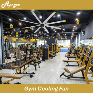 Ventilador de Techo Comercial Apogee con Logotipo OEM IP65 para Gimnasio con Motor de Ventilador HVLS - Product Image 3