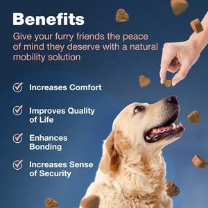 120 Soft Chews Supplément pour les hanches et les articulations pour chien Glucosamine Soulagement de la douleur Traite la chondroïtine Suppléments avancés pour les articulations de la hanche - Product Image 4