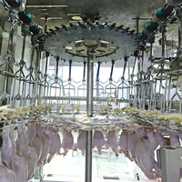 Haute sécurité niveau en acier inoxydable abattage automatique abattoir poulet abattage Machine tuer cône volaille