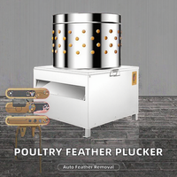 Machine à épiler les volailles électrique automatique en acier inoxydable VK 220V/380V, neuve, pour poulet, canard, oie, caille, type tunnel