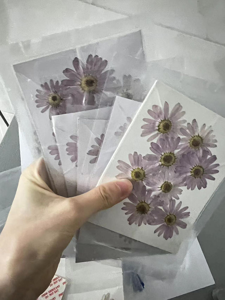 Pastel violet 12 pièces/sachet