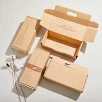 Boîte personnalisable de style avion en carton ondulé extra-résistant en papier kraft coloré avec logo pour vêtements/sous-vêtements, résistante aux UV