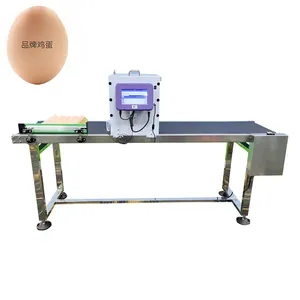 Máquina de codificación de inyección de tinta con máquina de precio barato máquina de impresión de cartón de huevo