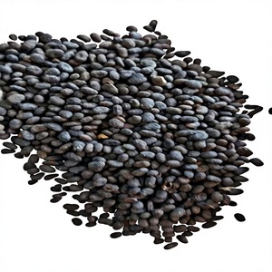 Graines de Psoralea Corylifolia (Babchi) de haute qualité, séchées naturellement, qualité alimentaire, provenant du Maharashtra, Inde - Product Image 1
