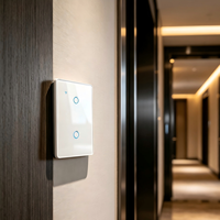 Interrupteur mural intelligent 2 gangs sans neutre WiFi Zigbee Tuya APP Commande vocale Alexa Google Home Android pour la maison et le bureau