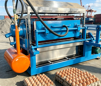 Çilek Brezilya Paketleme Fabrikası için Çok Fonksiyonlu Kağıt Hamuru Yumurta Viyol Makinesi