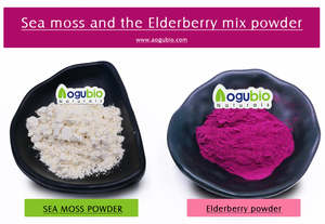 Aogubio Hoge Kwaliteit Lactobacillus Acidophilus Probiotica 3 Miljard Cfu Lactobacillus Acidophilus Poeder - Product Image 2