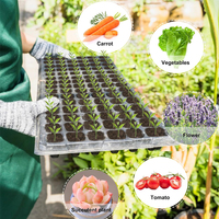 Plateau de germination pour l'entraînement des racines - Guide les racines vers le bas pour éviter le retordissement, système racinaire bien développé, taux de survie de 30 % supérieur