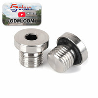 Bouchon de scellement captif mâle BSP en carbure de tungstène, raccord de tuyauterie hexagonal interne haute pression, moulage sur mesure OEM