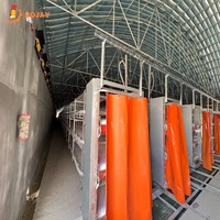 Équipement de cage à poulets de type H haute densité pour élevages avicoles commerciaux en Asie du Sud-Est