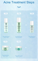 Produit de soin de la peau de marque privée extraits de plantes naturelles biologiques Aloe & Hamamelis nettoyage et rétrécissement des pores ensemble de soins de la peau coréen