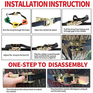 Livraison rapide couleur personnalisée Portable intérieur extérieur 3 Types petite salle de sport escalade mur de pierre escalade détient pour enfant - Product Image 4