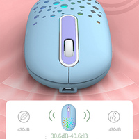 Souris compacte sans fil Bt, souris double mode rechargeable (récepteur BT 5.2 et USB) Souris silencieuse portable Hallow