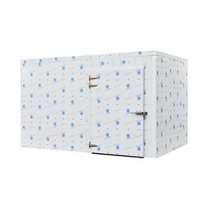 <span class=keywords><strong>Chambre</strong></span> froide d'unité de <span class=keywords><strong>chambre</strong></span> froide de taille faite sur commande de Ruixue pour la viande congelée - Product Image 6