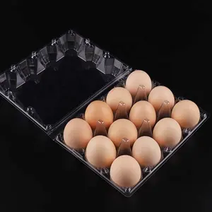 Süpermarket için depolama üreticisi için 12 Packs karton yumurta hücreleri Blister şeffaf