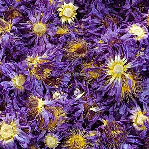 Té <span class=keywords><strong>de</strong></span> Flor <span class=keywords><strong>de</strong></span> Loto Seca Perfumada, Lirio <span class=keywords><strong>de</strong></span> Agua Azul, Té Herbal Orgánico Relajante, Té <span class=keywords><strong>de</strong></span> Flor <span class=keywords><strong>de</strong></span> Loto en Flor (Paquete Suelto) - Product Image 4