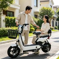 Nouveau vélo électrique à deux roues pour adultes, norme nationale - Approvisionnement transfrontalier direct d'usine