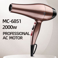 Sèche-cheveux professionnel 2000W Usine OEM Salon Ionique Salon professionnel Sèche-cheveux avec diffuseur