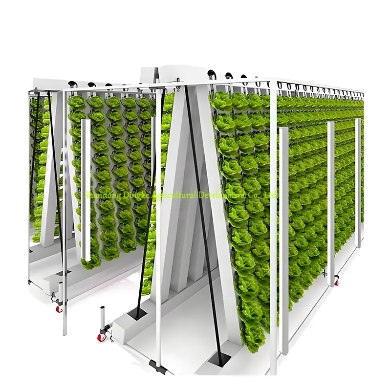 Intelligent Cultivation greenhouse bench Dutch bracket coconut bran planting NFT channel Vertical Hydroponics Growing System
