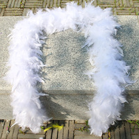 Offre Spéciale : Boas de Plumes de Dinde Chandelle Magnifiques et Moelleuses de 80 g pour Costumes de Fête et Décoration de Danse