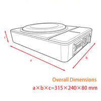 Subwoofer actif fin de 8 pouces à bobine simple sous siège 120W, haut-parleur de basses mono en aluminium pour voiture, apparence personnalisée, vente en gros