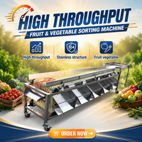 Volledig automatische multifunctionele fruit- en groente sorteermachine voor het sorteren op maat van lychees, met 220V/380V
