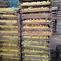 Salle de séchage des fruits multifonctionnelle pour les abricots, les pommes, déshydrateur commercial pour les tranches de fruits naturels, les collations