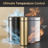 Bouteille d'eau intelligente avec affichage de la température LED, 500 ml, en acier inoxydable isolé sous vide, avec logo personnalisé, mug d'entreprise, cadeau