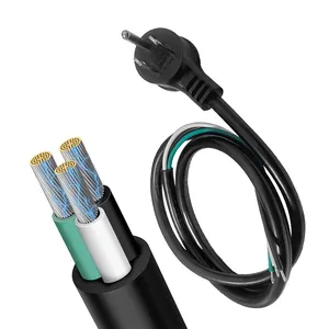 3-core plug power cord Customized AC power cord Computer host electric cooker wire 2-core bare tail plug cable