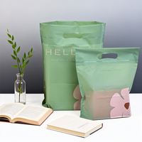 Sac en plastique recyclable imprimé avec poignée découpée en LDPE mat, fermeture éclair Flexiloop, pour vêtements, chaussettes, chaussures, cosmétiques