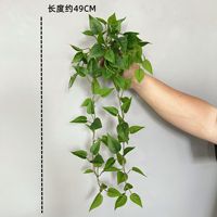 Plantes artificielles vertes tombantes en plastique, feuilles de simulation, mur végétal suspendu 49CM pour la décoration murale intérieure et extérieure