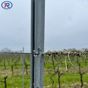 275g/m2 Hot Dipped Galvanized Vineyard Post Metal Poles For Vineyards Trellis