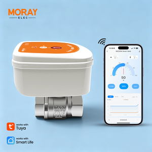 Moray ME220W Tuya SmartLife APP BSP NPT Compteur de contrôle de niveau d'eau et de débit, Mesure de niveau, Vanne d'eau intelligente sans fil WiFi - Product Image 1