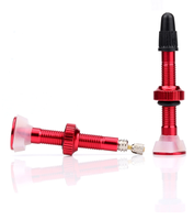 Vanne FV Presta pour vtt, extension en alliage coloré, pour vélo, à bas prix, 40mm/60mm/80mm