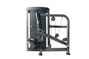 Máquina de Gimnasio para Entrenamiento de Tríceps con Selección de Peso por Pasador para Estudio de Transmisión en Vivo de Cursos de Fitness - Product Image 6