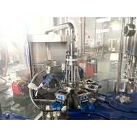 Machine de remplissage de bouteilles en verre contrôlée par PLC intelligent, solution d'emballage robuste par gravité pour les boissons au thé et au café