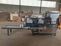 Machine automatique de fabrication de nouilles, machine industrielle à pâtes pour la farine, prix abordable