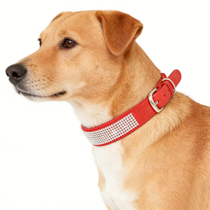 <span class=keywords><strong>Collar</strong></span> de Perro Ajustable de Gamuza Brillante al por Mayor - Product Image 2