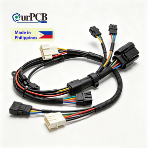 ชุดสายไฟอุปกรณ์สมาร์ทโฮมแบบกำหนดเอง พร้อมขั้วต่อ PH2.0 XH2.54 สำหรับอุปกรณ์ครัว โรงงาน OEM - Product Image 1