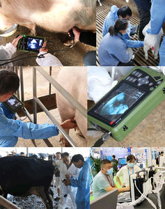 Meilleure Vente Fabrication Chinoise Échographe Vétérinaire Portable pour Gestation Ovine/Porcine/Bovine pour l'Élevage - Product Image 6