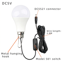 Ampoule LED DC5V pour usage extérieur avec câble de 2,8 m, prise DC5521, interrupteur marche/arrêt, crochet métallique pour un accrochage facile, CRI 80, 3000K/6500K, A19