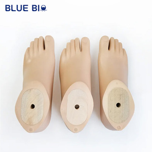 Assistent Revalidatie Kwaliteit Prothetische Ledematen Beendelen Onder Knie Kunstvoeten Prothese Voet - Product Image 6